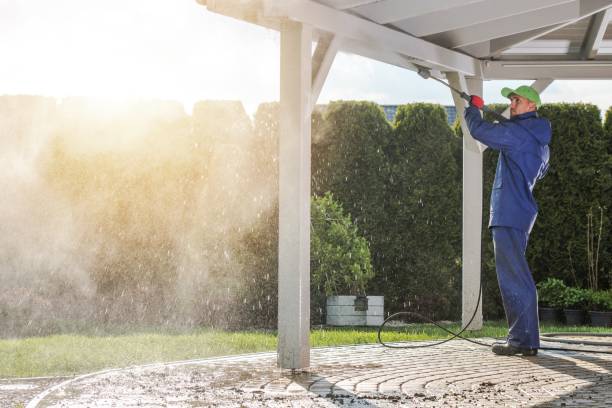 Best Gutter Cleaning  in Flower Hill, NY